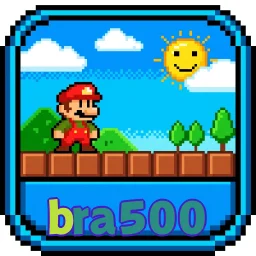 bra500